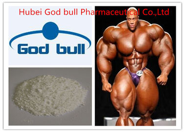 China Primobolan-Depot-androgene anabole Steroide, hoher Reinheitsgrad-Body Building-Steroide fournisseur